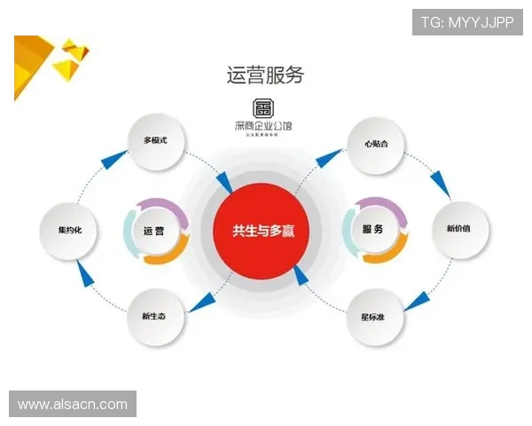 杭州篮球队运营体系解析与战术创新的深度探讨